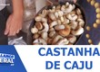 Castanha de Caju: patrimônio cultural e imaterial de Sergipe