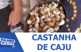 Castanha de Caju: patrimônio cultural e imaterial de Sergipe