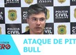 Ataque de Pit Bull mata cão de estimação em Aracaju