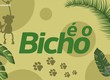 Confira os destaques do quadro 'É o bicho' nesta quinta-feira (06)
