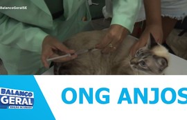 ONG Anjos realiza ação na Zona Norte de Aracaju