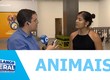 5ª edição do programa Aju animal busca um lar para mais de 70 animais