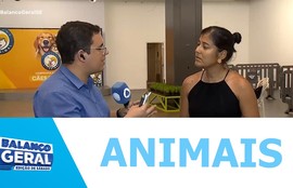 5ª edição do programa Aju animal busca um lar para mais de 70 animais