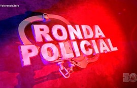 Polícia Rodoviária apreende 7 animais soltos nas estradas