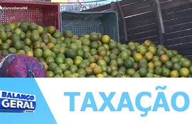 Com o fim da taxação dos Estados Unidos produtores podem voltar a competir com mais força no mercado