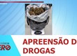 Polícia Militar apreende cerca de 1kg de maconha do tipo flor na Zona Norte de Aracaju