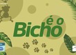 Confira os destaques do quadro ‘É o bicho’ nesta quinta-feira (27) L