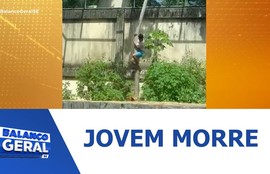 Jovem morre após invadir o recinto de leoa em zoológico