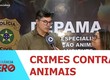 Polícia Civil faz balanço das ocorrências de crimes contra animais registrados em Sergipe