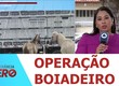 Operação Boiadeiro apreende 12 animais soltos em rodovias de Sergipe