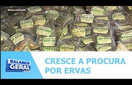Cresce a procura por ervas e produtos para banho neste período de fim de ano
