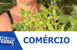 Cresce a procura por ervas e produtos para banho