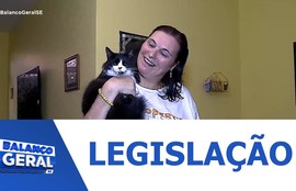 Lei assegura que o tutor decida quantos animais quer criar desde que haja bem-estar