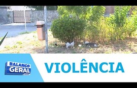 Moradores denunciam maus-tratos a gatos que vivem em uma praça no bairro Farolândia