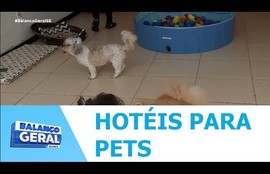 Hotéis para pets têm grande procura nessa época do ano