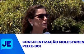 Projeto intensifica proteção ao peixe-boi-marinho em Sergipe