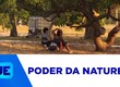 Especialistas garantem que contemplar a natureza pode ajudar a desconectar dos problemas
