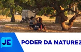 Especialistas garantem que contemplar a natureza pode ajudar a desconectar dos problemas