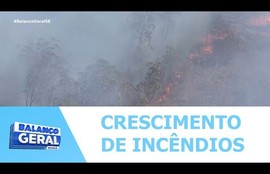 Número de incêndios em áreas urbanas e de vegetação cresce durante o verão