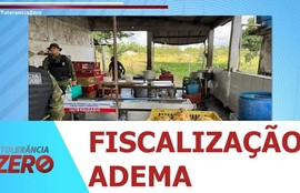 Abatedouro clandestino de aves é fechado em Itaporanga D’Ajuda