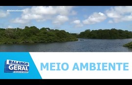 Sugestões para o plano estadual de ações climáticas podem ser enviadas até hoje