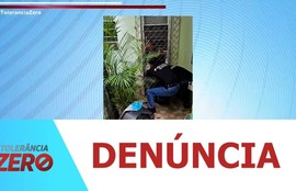 Cadela e cinco filhotes são resgatados após abandono no Bairro Olaria