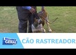 Um cão rastreador brasileiro está em Sergipe e tem se destacado em exposições nacionais