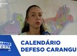 Caranguejo uçá; calendário de proibição de captura e comercialização inicia no próximo domingo