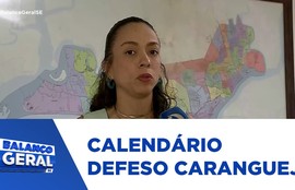 Caranguejo uçá; calendário de proibição de captura e comercialização inicia no próximo domingo