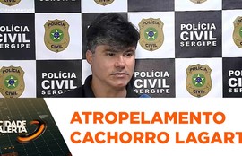 Cão arrastado por homem tem patas quebradas; o suspeito foi encontrado