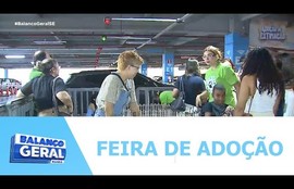 Feirinha de adoção promove esperança e recomeço para animais abandonados