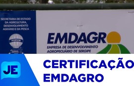 Emdagro fiscaliza e certifica empresas de diversos ramos da agroindústria