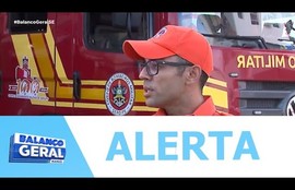 Especialista alerta sobre como reagir em um ataque de insetos