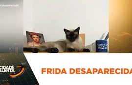 Ana Júlia procura gatinha Frida