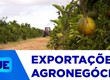 Exportações do agronegócio sergipano cresceram 300% entre 2019 e 2025