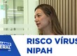Vírus Nipah, da Índia, pode chegar ao Brasil especialista explica