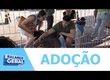 Campanha de adoção animal é realizada em Aracaju