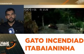 Imagens mostram gato em chamas correndo para tentar se salvar, mas não resiste e morre