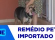 Justiça autoriza importação inédita de remédio veterinário contra leishmaniose em Sergipe