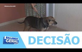 Tribunal confirma decisão inédita sobre o direito de importar medicamento veterinário