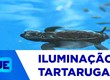 MPF articula medidas para reduzir fotopoluição e proteger tartarugas marinhas em Sergipe