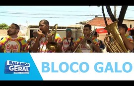 Bloco galo do Augusto Franco comemora 17 anos e aconteceu no sábado (07) na capital