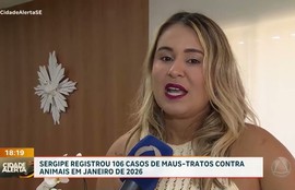 Sergipe registrou 106 casos de maus tratos contra animais em janeiro de 2026