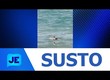 Susto em uma das praias mais perigosas do litoral de Aracaju