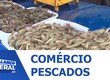 Quaresma começa e impulsiona venda de peixes