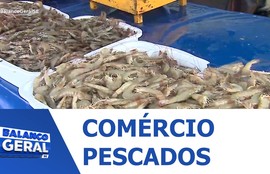 Quaresma começa e impulsiona venda de peixes