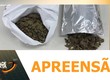 Radiopatrulha apreende mais de 800 gramas de drogas em Nossa Senhora do Socorro