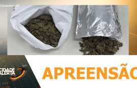 Radiopatrulha apreende mais de 800 gramas de drogas em Nossa Senhora do Socorro