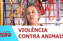 Gata é atacada por cães em Maruim e ong consegue resgatá- la e prestar atendimento médico