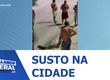 Moradores capturam um jacaré em área urbana da cidade